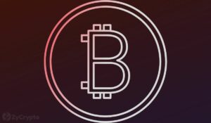 تراجع Bitcoin وEther وXRP مع تأجيل هيئة الأوراق المالية والبورصة لاتخاذ القرارات بشأن صناديق الاستثمار المتداولة الفورية لجميع المتقدمين بما في ذلك BlackRock