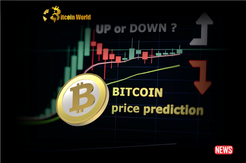 Bitcoin Price Predictions: Expert Opinions and a Glance into the Future pantera capital PlatoBlockchain Data Intelligence. Vertical Search. Ai.