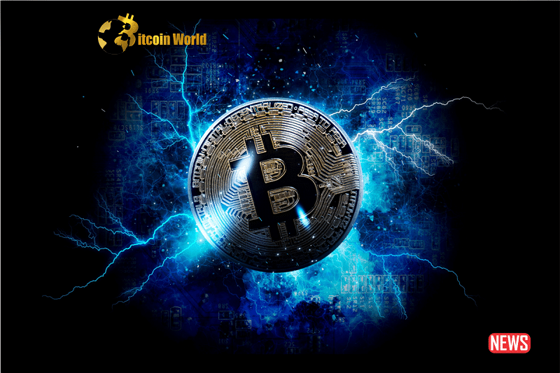 Bitcoin's Lightning Network: Revolutionizing Global Payments, Says Former PayPal President