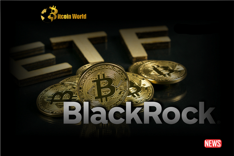 השמועות של Blackrock Spot Bitcoin ETF Fuels מדברים על 'נר אלוהים' בשוק