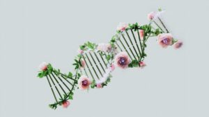 Sztuczna inteligencja DeepMind tropi mutacje DNA odpowiedzialne za choroby genetyczne