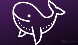 Ethereum Whales Buy Up Over 200,000 ETH Within 24 Hours As Attractive Prices Prevail