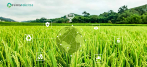 Menjelajahi Peran IoT dalam Kelestarian Lingkungan -