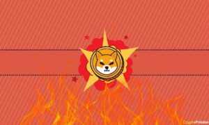 Find Out Why Shiba Inu (SHIB) Burn Rate Exploded by 1,000% Overnight