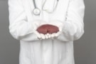 Zdravnik drži ledvico