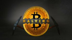 Kaiko Research: Next Year's Bitcoin Halving Won't Be a Big Deal | Live Bitcoin News