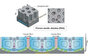 Recent developments in porous anodic alumina preparation – Physics World