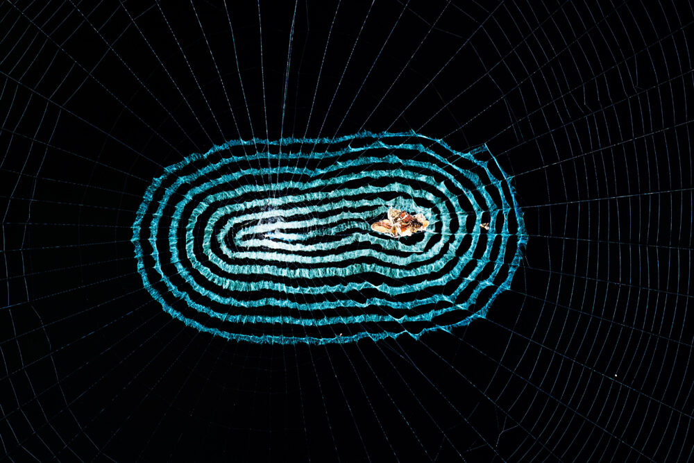 „Scattered Spider“ hinter MGM-Cyberangriff zielt auf Casinos ab