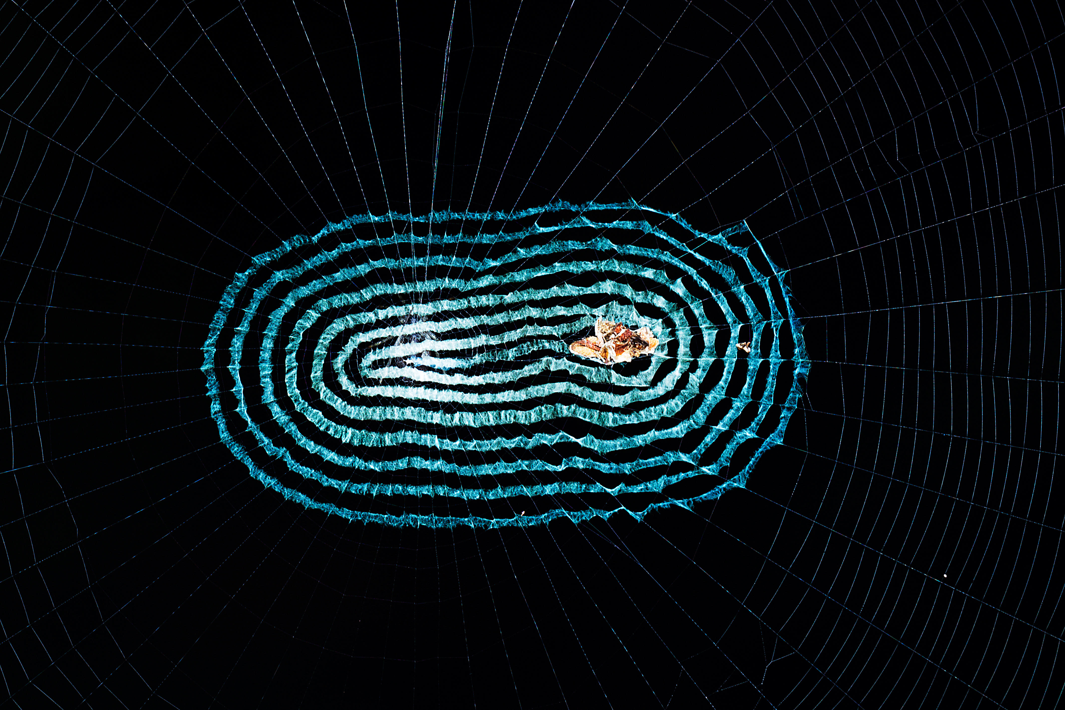 „Scattered Spider“ hinter MGM-Cyberangriff zielt auf Casinos PlatoBlockchain Data Intelligence ab. Vertikale Suche. Ai.