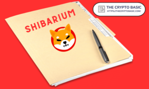 Shiba Inu 团队重点介绍了投资 Shibarium 项目之前需要考虑的 12 个因素