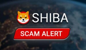 Đội Shiba Inu đưa ra cảnh báo khác cho quân đội SHIB