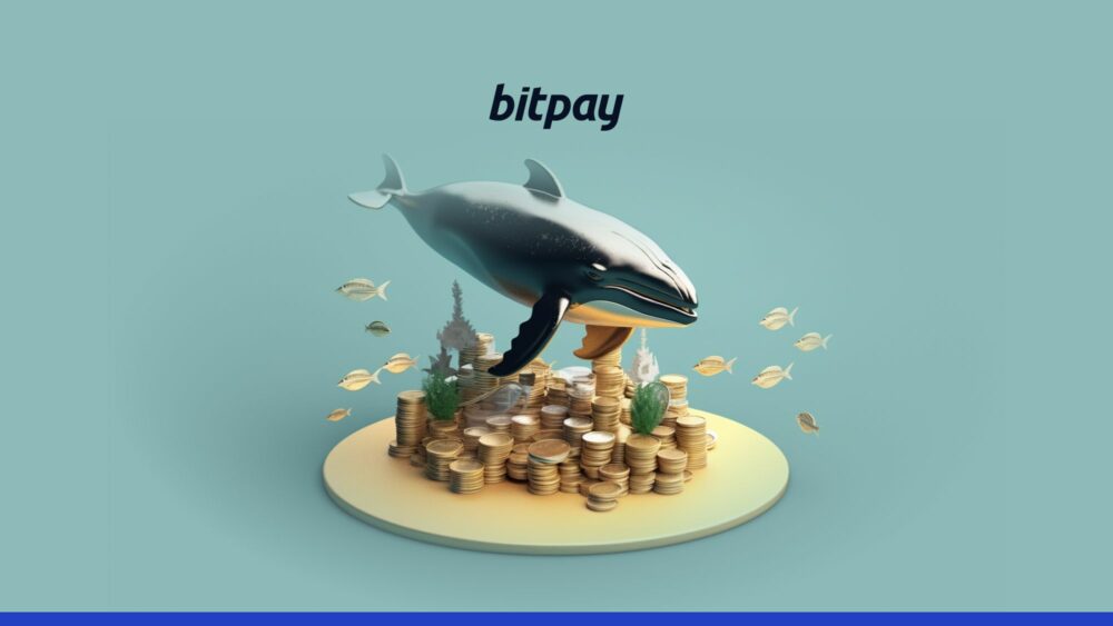 Guarde su frase semilla criptográfica como una ballena | BitPago