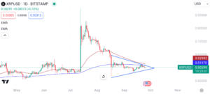 XRP At a Pivotal Point, Bulls Need To Defend $0.48 to Break Above Month-Long Symmetrical Triangle