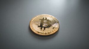 کیا Bitcoin اپنانے کا قبضہ اس کی قیمت پر ہے؟
