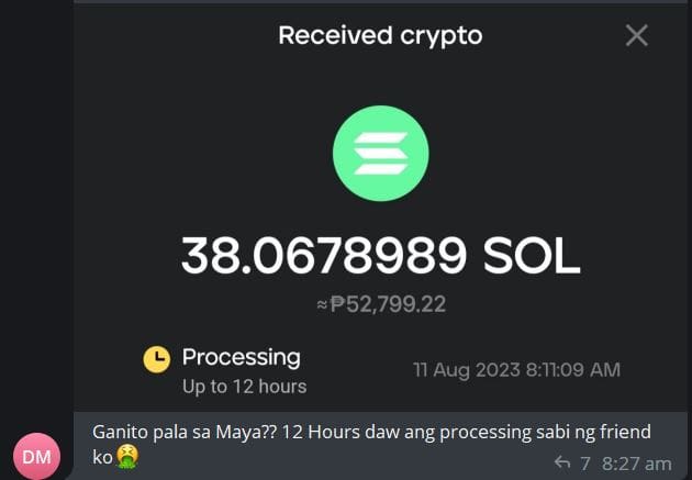 Foto zum Artikel – Benutzer von Maya-Kryptowährungen äußern ihre Frustration über Transaktionsverzögerungen