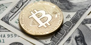 هيئة الأوراق المالية والبورصة لن تستأنف حكم صندوق Bitcoin ETF الرمادي: التقارير - فك التشفير