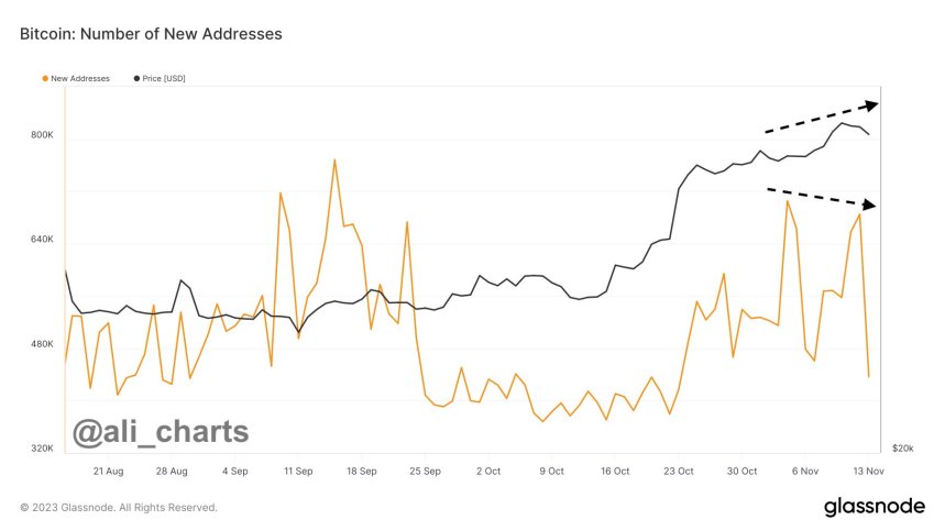 Ayı Uyumsuzluğu mu? Bitcoin Fiyatı Yükseliyor, Ancak Ağın Büyümesi Uyarı Sinyalleri Gönderiyor