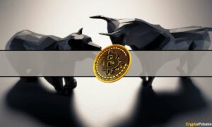 Začenjajo se pojavljati vzorci bikovskega trga Bitcoin: Bitfinex Alpha