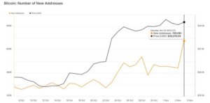 L'indicatore Bitcoin prevede tendenze rialziste