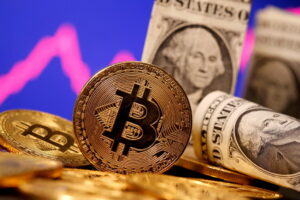 Bitcoin Millionaire Wallets Hit New Highs in 2023