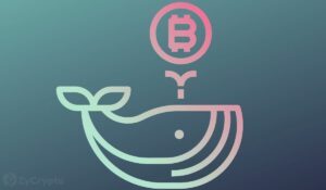 A Bitcoin Whales 2 milliárd dollár hasznot húz a BlackRock által vezérelt hullámzás közepette