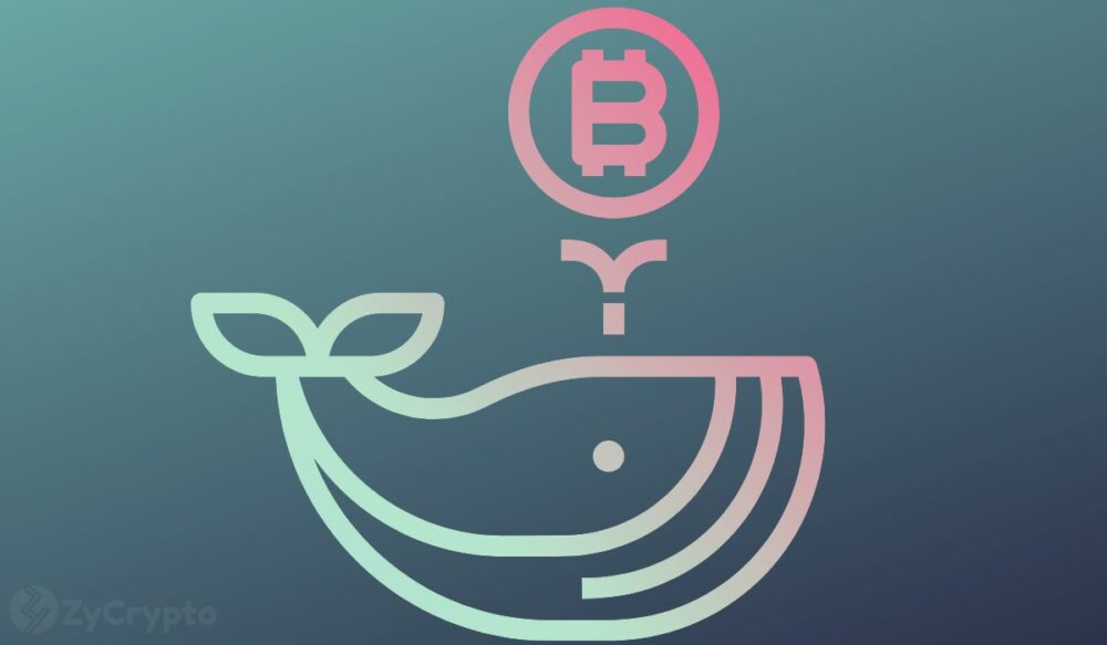 Bitcoin Whales Cash In $2 Billion Profits Amid BlackRock-Driven Surge