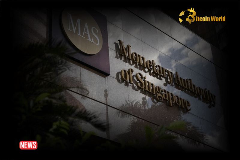 Cryptocurrencies Have Failed the Test of Digital Money: MAS Managing Director suitability PlatoBlockchain Data Intelligence. Vertical Search. Ai.