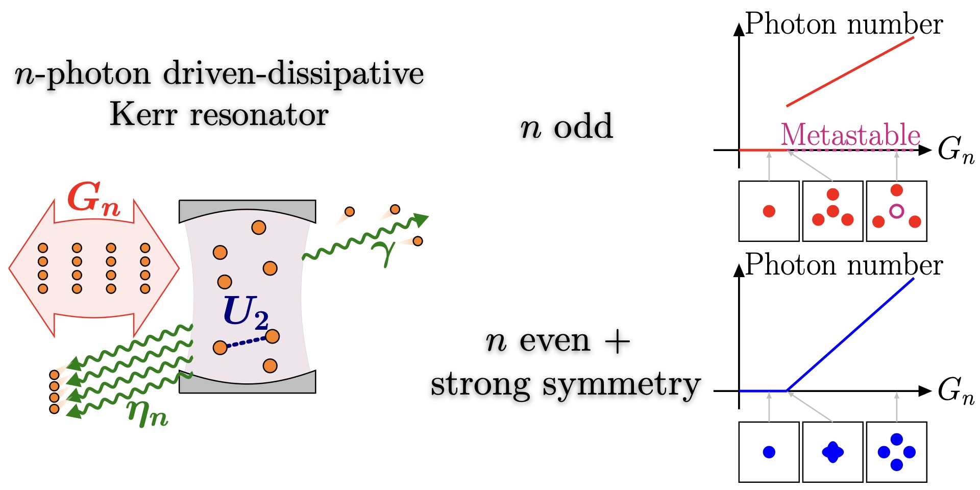 Dissipative phase transitions in $n$-photon driven quantum nonlinear resonators spins PlatoBlockchain Data Intelligence. Vertical Search. Ai.