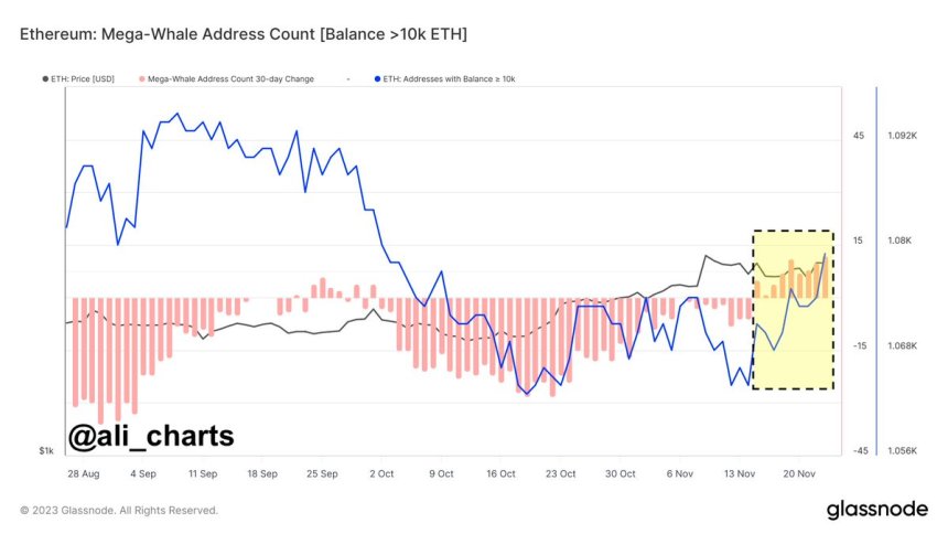 Las ballenas Ethereum emprenden una ola de acumulación de 9 días: ¿Se acerca el repunte del precio de ETH?