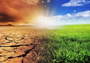 Convertirse en carbono negativo para abordar el cambio climático – Physics World