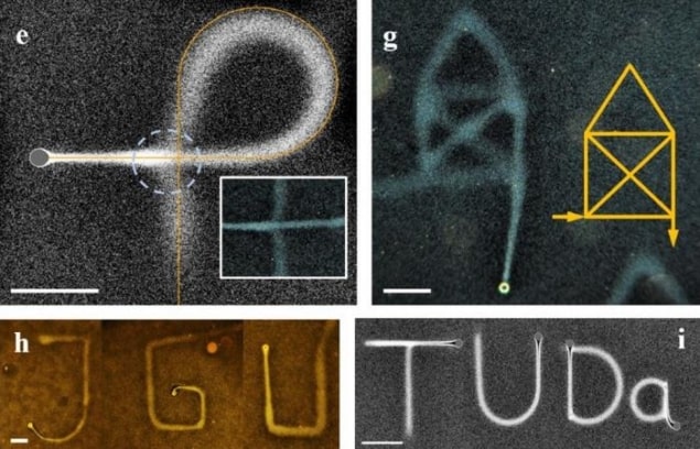 A selection of images drawn in water, including shapes and letters