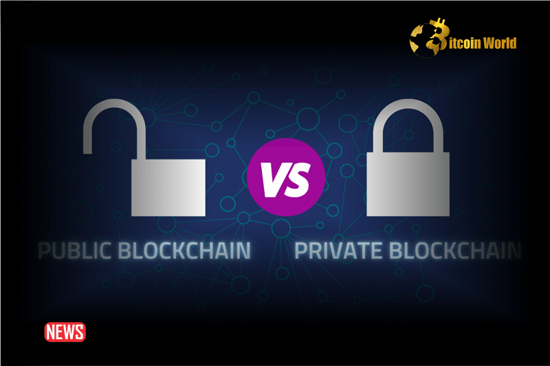 Blockchains public versus privat - Care este modelul potrivit pentru nevoile dvs