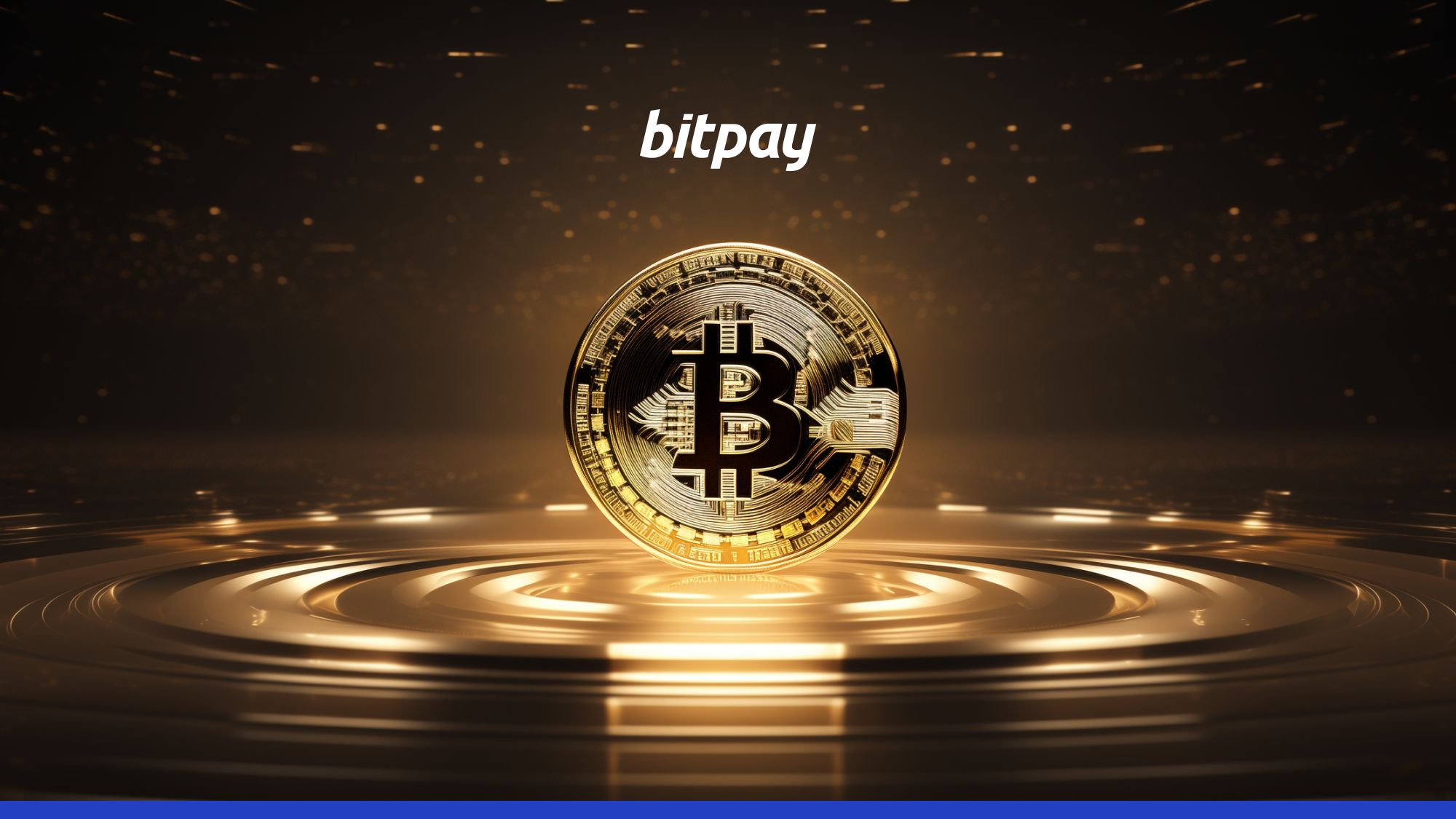 What is Bitcoin Dominance? A Complete Guide [2023] | BitPay Safe Haven PlatoBlockchain Data Intelligence. Vertical Search. Ai.