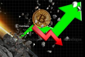 Bitcoin Maxi Says Further BTC Price Uptrend "Will Shock The World"