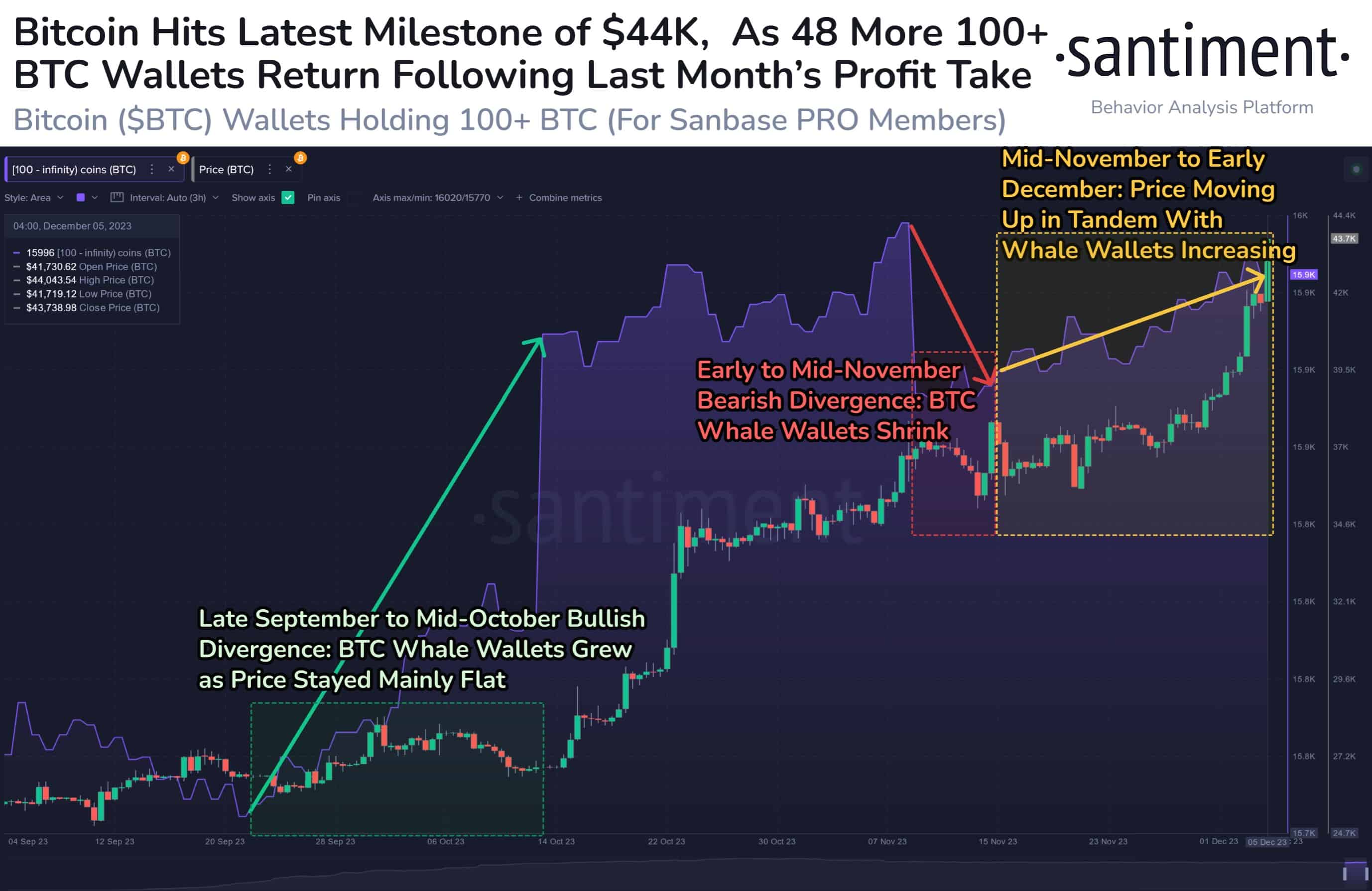 Bitcoin Whale Wallets vender tilbake til kjøp, Bull Market er her for å bli PlatoBlockchain Data Intelligence. Vertikalt søk. Ai.