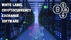 Crypto Revolution: White-Label Crypto Exchanges og deres rolle i Web3s suksess