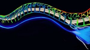 Flexible optical fibres deliver light to nerves for optogenetic pain inhibition – Physics World
