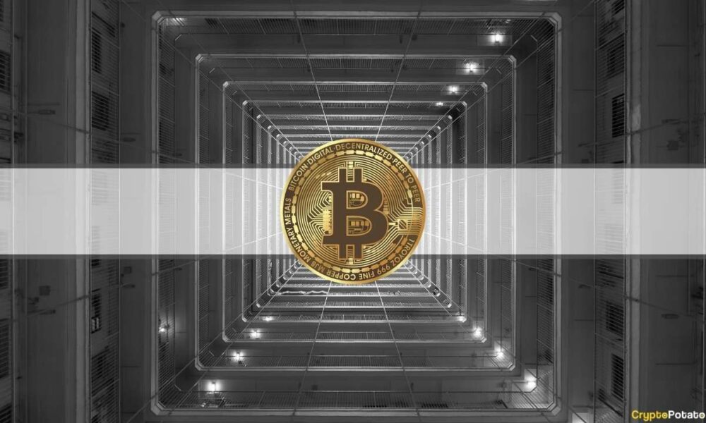 Institucije, ki ignorirajo nadomestne kovance, stave na bitcoin: raziskava Bybit