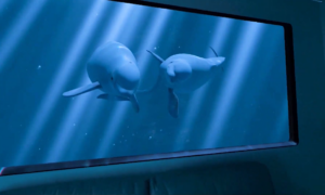 Ocean Rift gjør rommet ditt til et akvarium med blandet virkelighet