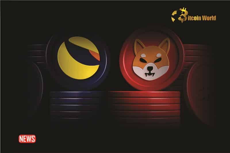 Shiba Inu Or LUNC Burn: Which One Has Had A Better Impact? spikes PlatoBlockchain Data Intelligence. Vertical Search. Ai.