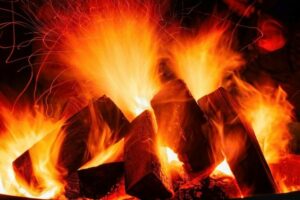Shiba Inu’s Burn Rate Skyrockets 28,000% Amid Plans to Launch .Shib Domains