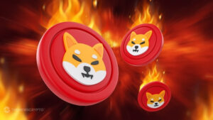 Ο κύριος προγραμματιστής της Shiba Inu εξετάζει το 99.9% Burn Supply Token