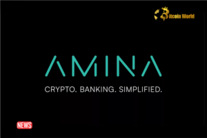 A Swiss Crypto Bank SEBA Bank AG átnevezése AMINA Bank AG-ra