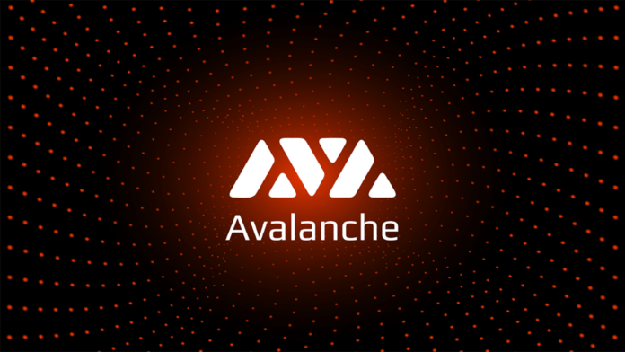 Unlocking Crypto Culture Avalanche's $100M Meme Coin Support firmly PlatoBlockchain Data Intelligence. Vertical Search. Ai.