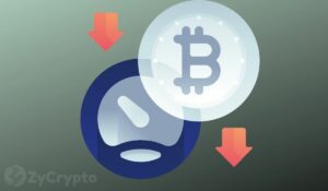 Bitcoin glijdt richting $40,000 terwijl ETF-koorts verdwijnt – Solana, XRP, Cardano, leiden Altcoin-verliezen