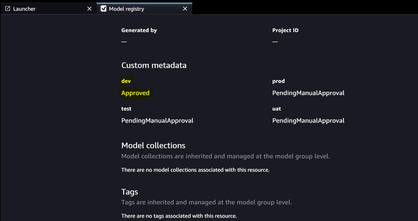 metadata kustom registri model