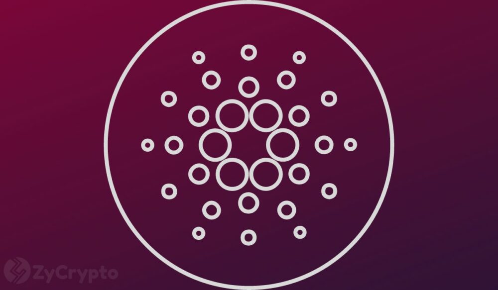 Cardano Smart Contracts Record Massive 67% Growth in 2024 Even as ADA Whale Transactions Dwindle