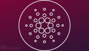 Charles Hoskinson Emphasizes Cardano’s Success Is Community-Driven Amidst Criticism