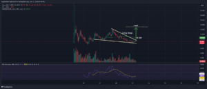 SatoshiVM Price Prediction: SAVM Plunges 15%, But The Second Coming Of This Meme Coin Might 100X Again