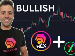 What Gives HEX, PulseChain, and PulseX Value? – Crypto AMA,